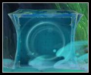 造梦西游4挑战水巨灵 神兽森林隐藏关卡