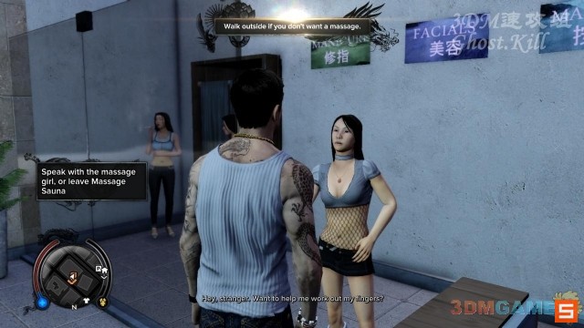 《热血无赖》图文视频攻略|Sleeping Dogs