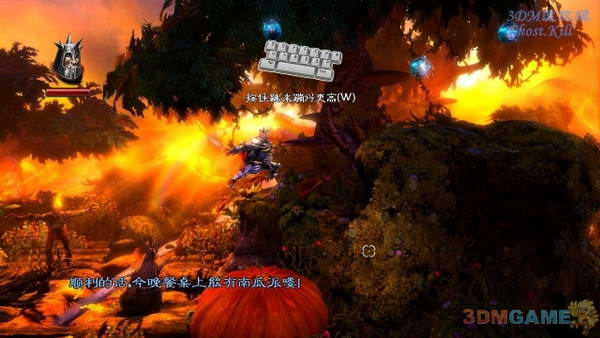 《三位一体2》图文视频攻略|Trine 2