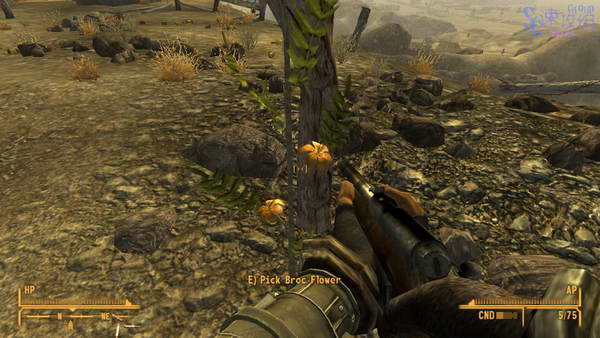 《辐射：新维加斯》图文攻略|Fallout New Vegas