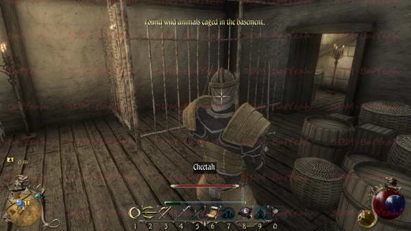 《两个世界2》图文攻略|Two Worlds 2