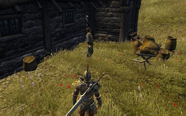 《神界2：龙裔》图文攻略|Divinity 2: Ego Draconis