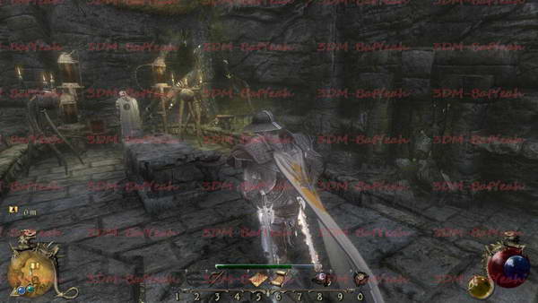 《两个世界2》图文攻略|Two Worlds 2