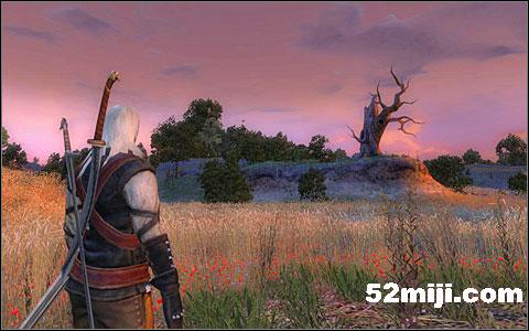 《巫师》(狩魔猎人)图文攻略|The Witcher