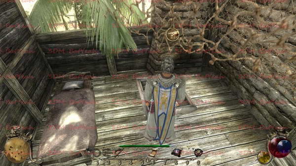 《两个世界2》图文攻略|Two Worlds 2