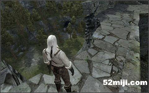 《巫师》(狩魔猎人)图文攻略|The Witcher