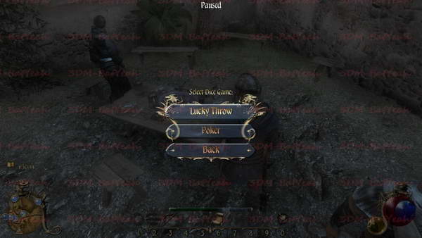 《两个世界2》图文攻略|Two Worlds 2