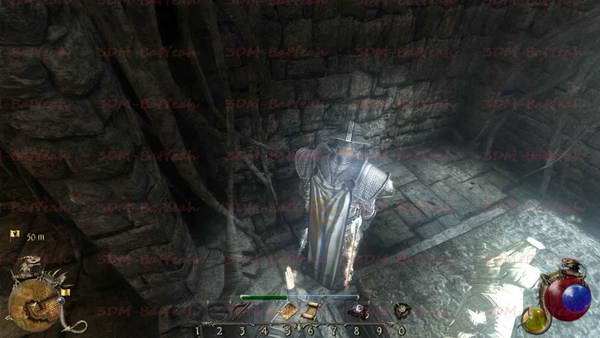 《两个世界2》图文攻略|Two Worlds 2