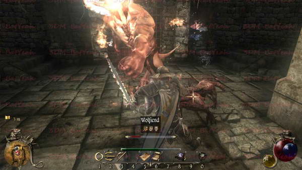 《两个世界2》图文攻略|Two Worlds 2