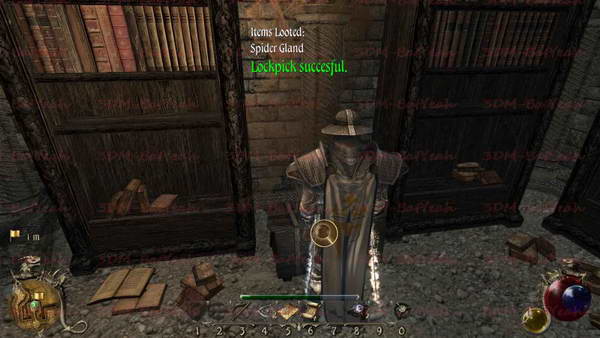 《两个世界2》图文攻略|Two Worlds 2