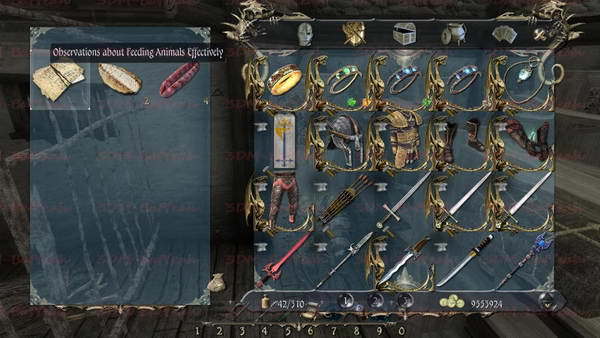 《两个世界2》图文攻略|Two Worlds 2