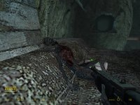 《半条命2》全攻略|Half-Life 2