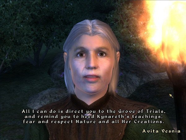 《上古卷轴4：湮灭-九骑士》图文全攻略|The Elder Scrolls IV Oblivion Knights of The Nine