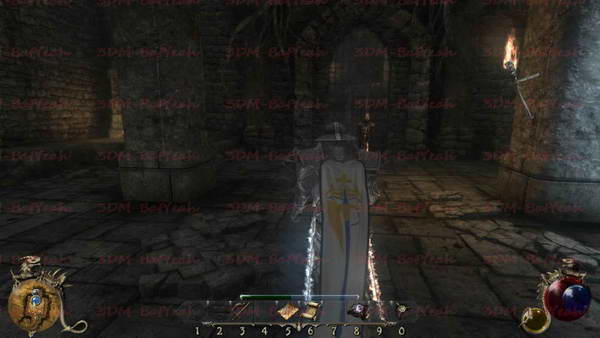 《两个世界2》图文攻略|Two Worlds 2