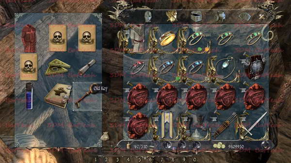 《两个世界2》图文攻略|Two Worlds 2