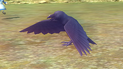 《妖妖剑戟梦想》详细攻略|