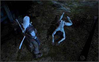 《巫师》(狩魔猎人)图文攻略|The Witcher