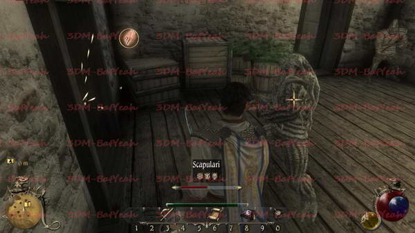 《两个世界2》图文攻略|Two Worlds 2