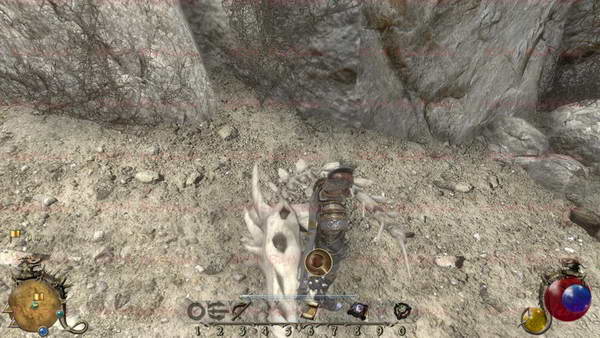 《两个世界2》图文攻略|Two Worlds 2