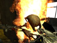 《半条命2》全攻略|Half-Life 2