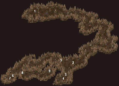 《超越神界》图文攻略|Beyond Divinity