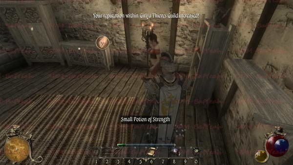 《两个世界2》图文攻略|Two Worlds 2