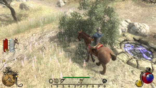 《两个世界2》图文攻略|Two Worlds 2