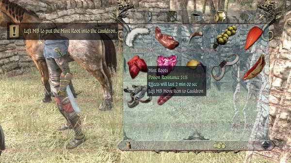 《两个世界2》图文攻略|Two Worlds 2