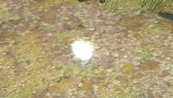 《妖妖剑戟梦想》详细攻略|