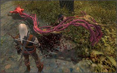 《巫师》(狩魔猎人)图文攻略|The Witcher