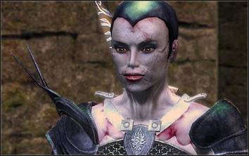 《巫师》(狩魔猎人)图文攻略|The Witcher