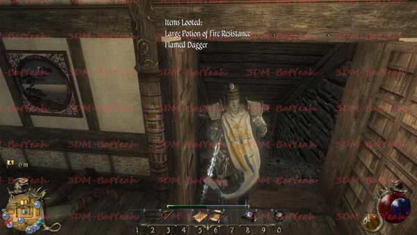 《两个世界2》图文攻略|Two Worlds 2