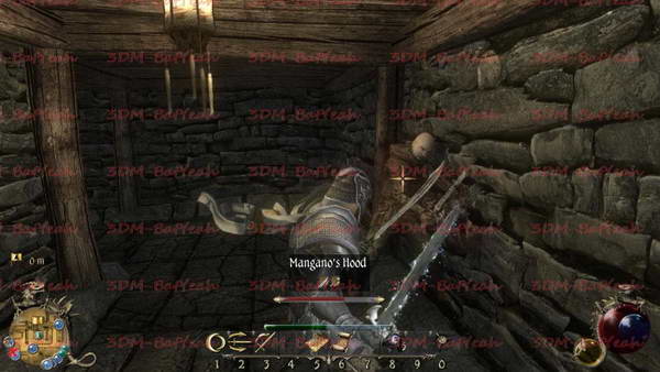 《两个世界2》图文攻略|Two Worlds 2