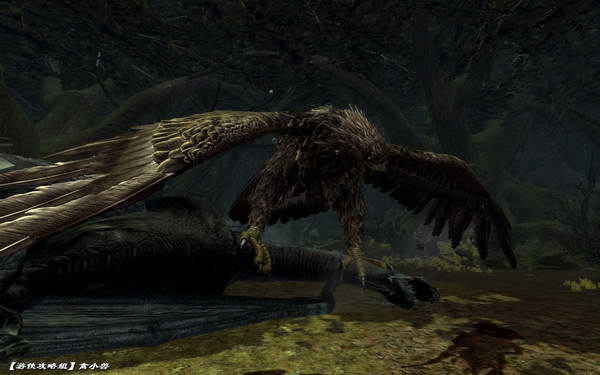 《指环王：北方战争》图文攻略|Lord of the Rings: War in the North,The