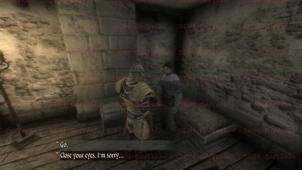 《两个世界2》图文攻略|Two Worlds 2