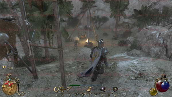 《两个世界2》图文攻略|Two Worlds 2