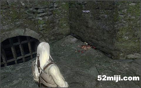 《巫师》(狩魔猎人)图文攻略|The Witcher