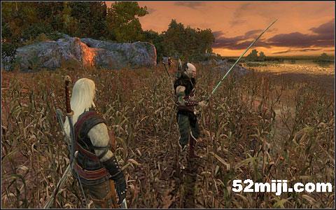《巫师》(狩魔猎人)图文攻略|The Witcher