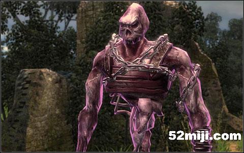 《巫师》(狩魔猎人)图文攻略|The Witcher