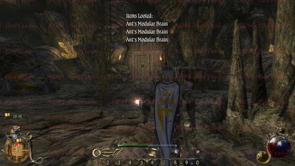 《两个世界2》图文攻略|Two Worlds 2