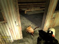 《半条命2》全攻略|Half-Life 2