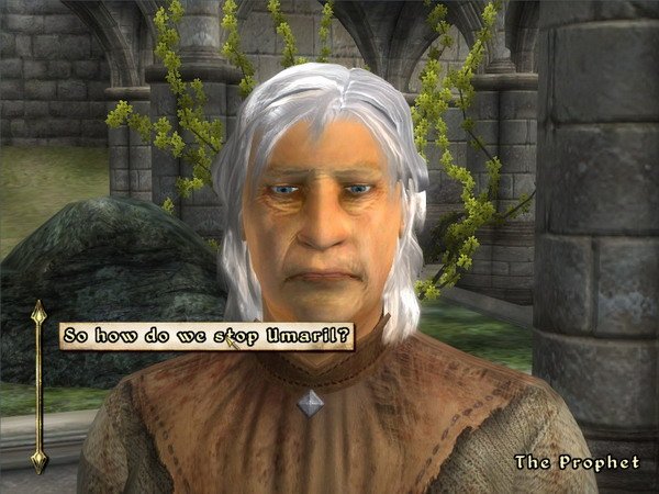 《上古卷轴4：湮灭-九骑士》图文全攻略|The Elder Scrolls IV Oblivion Knights of The Nine