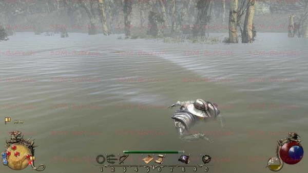 《两个世界2》图文攻略|Two Worlds 2