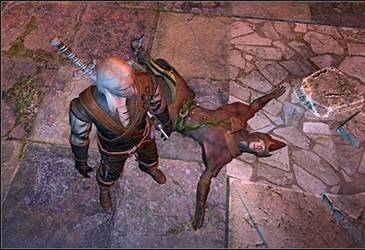 《巫师》(狩魔猎人)图文攻略|The Witcher