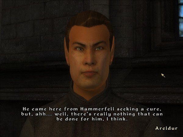 《上古卷轴4：湮灭-九骑士》图文全攻略|The Elder Scrolls IV Oblivion Knights of The Nine