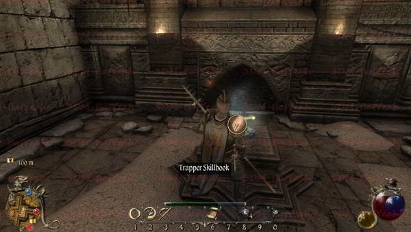 《两个世界2》图文攻略|Two Worlds 2