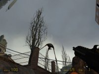 《半条命2》全攻略|Half-Life 2