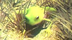 《妖妖剑戟梦想》详细攻略|