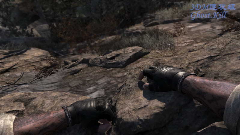 《使命召唤8：现代战争3》图文视频攻略|