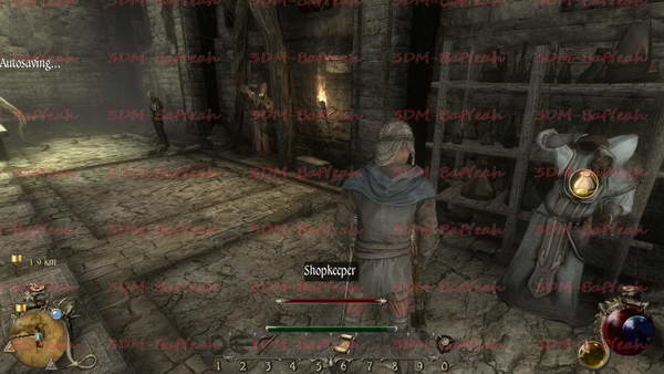 《两个世界2》图文攻略|Two Worlds 2